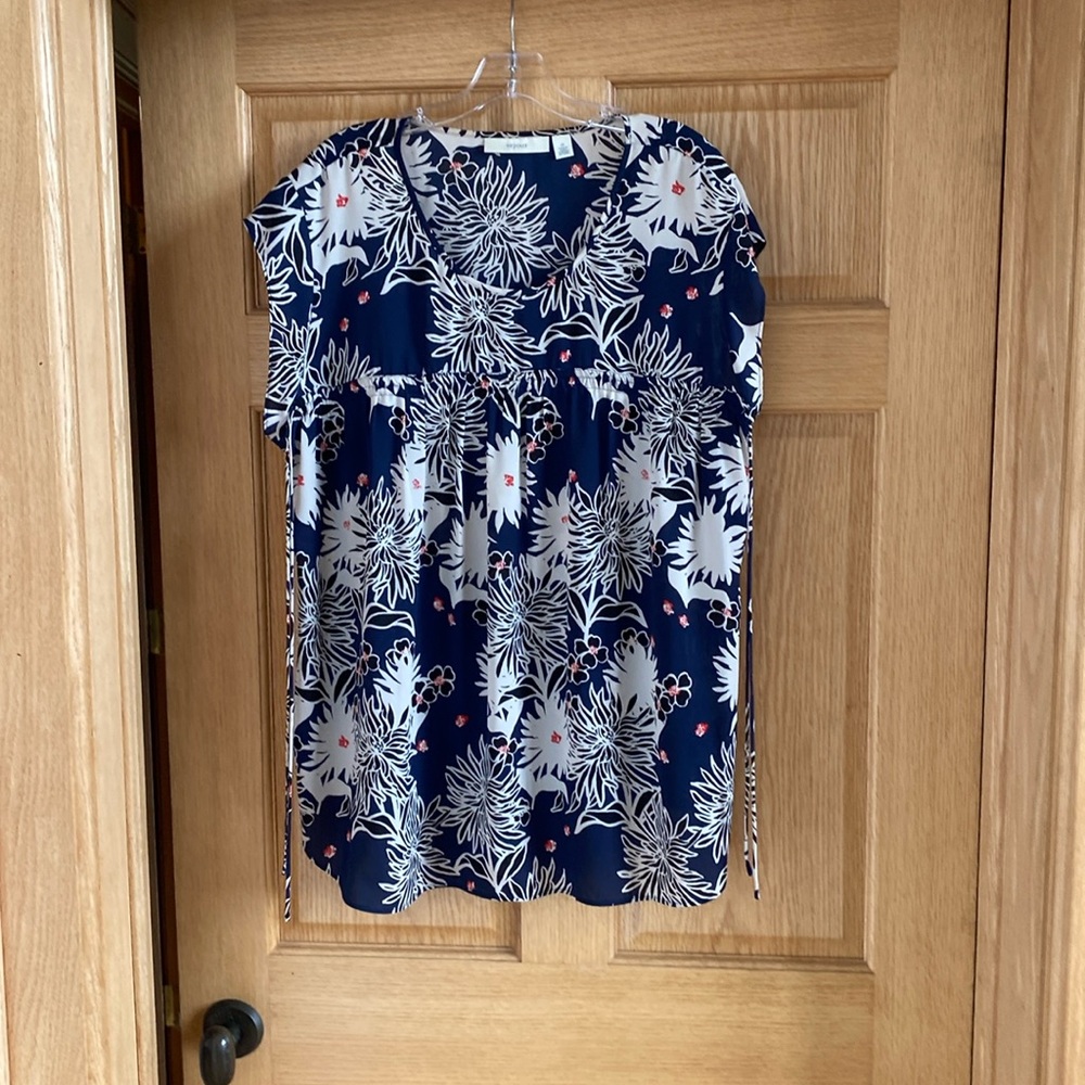 Plus size Blouse from Nordstrom